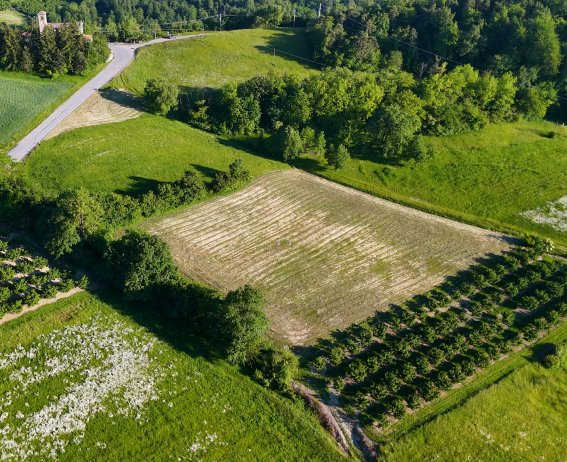 Widok z lotu ptaka na działkę niezabudowaną i sad